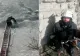 Intervenție spectaculoasă pe Siret a pompierilor pentru salvarea unui cățel - Imagini emoționante | VIDEO
