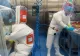  Cercetători din diferite ţări cer autorităţilor chineze o anchetă reală privind originile COVID-19