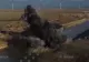 Război în Ucraina - Ziua 183 - Ucrainenii vor să recucerească peninsula Crimeea. Războiul ar putea dura chiar și 80 de ani