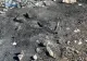 Descoperire șocantă la marginea Capitalei: Cantități uriașe de deșeuri toxice au fost arse - Poluare masivă