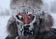 Frigul provoaca alergii! Mai ales în randul celor tineri. Cum iti dai seama ca ești alergic la temperaturi scăzute 