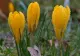 Vremea 16 februarie - Temperaturile în creștere. Unde va fi cel mai cald