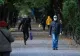 Localitatea din Ilfov cu cea mai mare incidenţă Covid. Peste 40 de cazuri la mia de locuitori