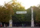 Descoperire MACABRĂ: zeci de pisici moarte, găsite într-un parc din Buzău. Ce ipoteze se iau în calcul