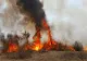 FOTO + VIDEO | Incendiu violent de vegetație în județul Tulcea. Pompierii au intervenit de urgență