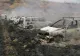 Incendiu de vegetație scăpat de sub control: zeci de mașini, mistuite de foc, în jud. Mureș