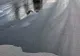 VIDEO + FOTO A cumpărat o tonă de motorină și s-a răsturnat la ieșirea din benzinărie
