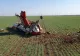 Un avion de acrobație s-a prăbușit, în Prahova! Pilotul a MURIT