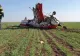 Primele rezultate privind moartea pilotului de acrobații în timpul unui accident aviatic. Ce spun medicii legiști