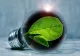 Miron Mitrea: Investițiile în energia verde sunt soluția și vor fi câștigătoare