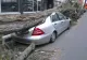 Vântul puternic face ravagii în țară. Zeci de copaci căzuţi pe mașini şi carosabil