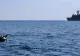 România, alături de alte 2 țări, va forma un grup operativ pentru combaterea minelor marine în Marea Neagră