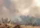 VIDEO Alertă în județul Buzău, incendii uriașe de vegetație în zona Breaza. Poluarea, comparabilă cu cea din Ucraina