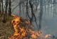 Incendiu devastator, în comuna Dragomirești, jud. Vaslui: 130 de hectare, mistuite