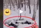 VIDEO – Părea un buștean acoperit de zăpadă, în pădure – Șoc uriaș pentru pădurar când s-a apropiat și a văzut ce se ascundea
