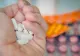 Cazul Vlad Pascu. Procurorii verifică dacă farmacistul dealer este livratorul copiilor din dosarul 2 Mai - Miză uriașă