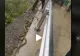 VIDEO – Pe marginea drumului erau zeci de șerpi. Un bărbat s-a dat jos din mașină și a început să…