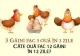 Problema de clasa I care dă bătăi de cap adulților. Câte ouă fac 12 găini în 12 zile?