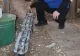 Bombă căzută lângă un centru de copii, în orașul Herson