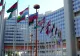 Reuniune a Consiliului de Securitate al ONU privind armele biologice solicitată de Moscova - Ce acuzații se fac
