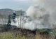 VIDEO | Incendiu pe un drum din Tulcea. O mașină s-a făcut scrum după ce a fost cuprinsă de flăcări