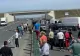Argeş: Un TIR a lovit doi cai lăsaţi nesupravegheaţi le carosabil pe breteaua de acces a autostrăzii A 1