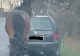 Caz revoltător în Cluj. Un cal a fost legat cu o funie de o mașină și tras după aceasta