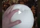 VIDEO – A găsit o ciupercă perfect rotundă în pădure. A luat-o acasă și a gătit-o, însă ce a urmat după este complet neașteptat