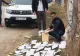 Sute de buletine de vot din Ungaria, găsite pe un câmp din județul Mureș - Anchetă uriașă