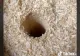 VIDEO – Experimentul inedit al unui român – A făcut o gaură în mijlocului unui butoi plin de rumeguș – La ce folosește