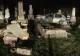 Situație tragi-comică în Cluj. Un şofer beat și fără permis a intrat cu maşina… într-un cimitir 