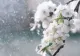 Vremea 10 aprilie - Ploi și ninsori, temperaturile scad în toată țara