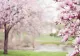 România a scăpat de episodul neobișnuit de viscol! - Vestea bună care vine din partea meteorologilor