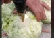 VIDEO – Ce a putut să facă un român cu bormașina: “Suntem un neam foarte inventiv”