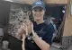 Un pui de căprioară a fost salvat de polițiști