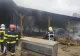 Incendiu violent în Târgu-Mureș. Sute de animale au ars după ce adăpostul în care se aflau a luat foc - FOTO
