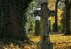 Cimitir din jud. Ialomița, distrus de 4 tineri: cruci smulse, cavouri sparte