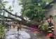 Bărbat luat de viitură, în județul Iași. Prăpăd după CODUL PORTOCALIU de ploi și furtună FOTO +VIDEO