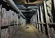 Tunel de jumătate de kilometru al traficanților de droguri, descoperit sub frontiera SUA - Mexic