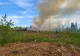 Alertă de incendiu în Parcul Grozăvești, din Capitală 