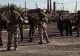 Război Ucraina. Rusia anunță că s-au predat 2.000 dintre „apărătorii Mariupol”. Șoigu: BLOCADA continuă la Azovstal