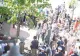 Copacul de 3000 de euro, plantat de principesa Margareta, a început să se usuce. Specialiștii caută soluții