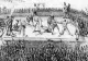 A fost descoperit adevăratul LOC unde au fost trași pe roată Horea și Cloșca în 1785 - De ce nu e pe Dealul Furcilor