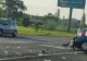 Un pieton a murit după ce a fost spulberat pe DN1