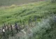 42 de ani de la CEL MAI GRAV accident din România - 48 de persoane au murit - Cum a ascuns Ceaușescu cea mai gravă tragedie rutieră