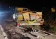 Accident în Botoșani, polițiștii au fost ATACAȚI de albine - FOTO + VIDEO 