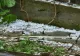 Grindina a făcut prăpăd în Dâmbovița. Culturile sunt distruse
