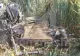 Un avion militar s-a prăbușit în Rusia. Pilotul a murit - VIDEO&FOTO