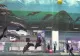 Delfinii din Harkov, spectacol cu publicul, la Constanța: simpaticele animale au impresionat spectatorii