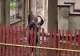 Voluntari care ajută refugiați din Ucraina, atacați cu pietre de o familie de romi, la Timișoara - VIDEO